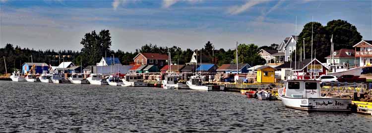 harbor